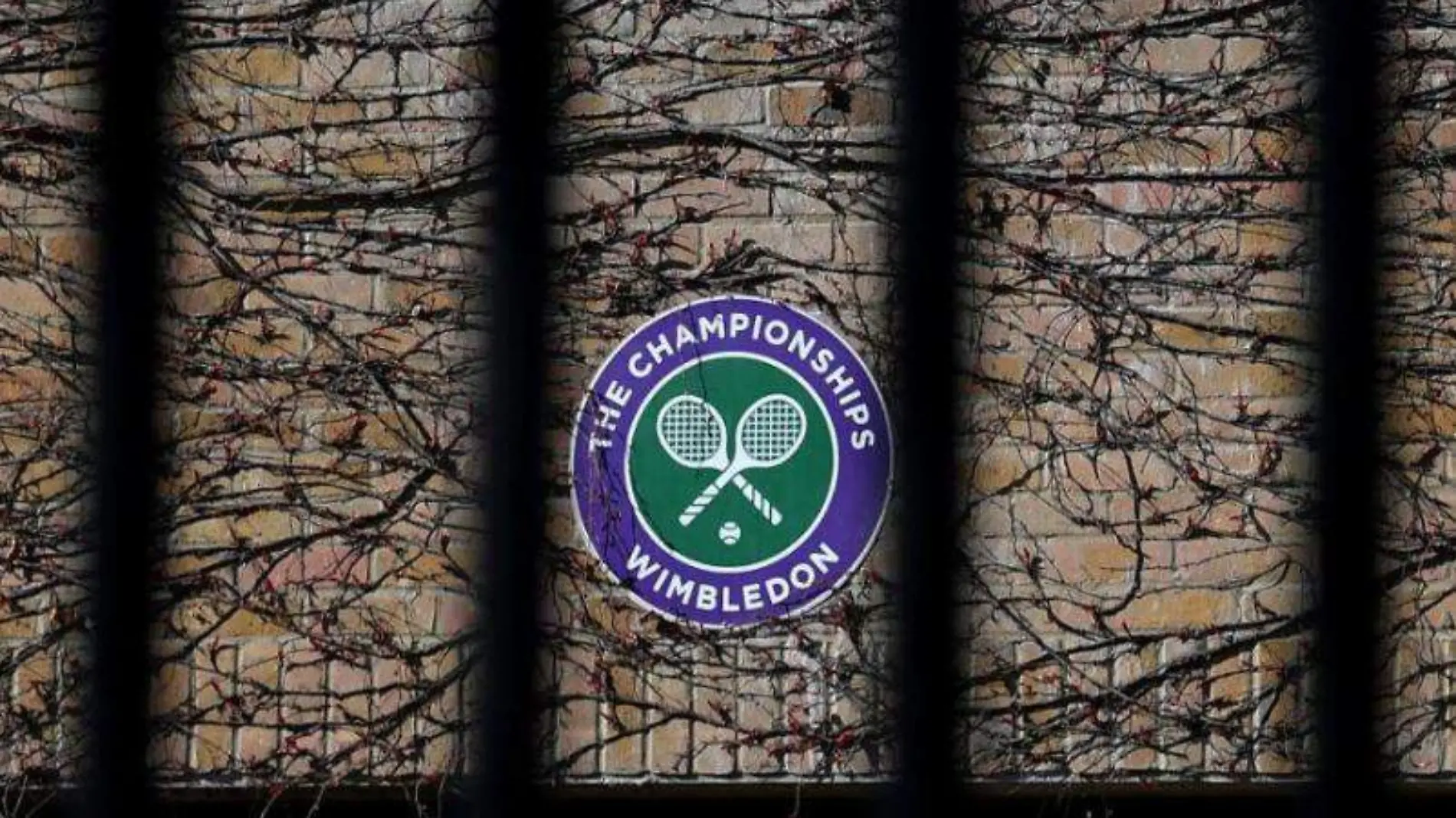 Wimbledon 2-AFP